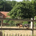 Am Untergut In Der Klingelstrasse Apartament Luchow