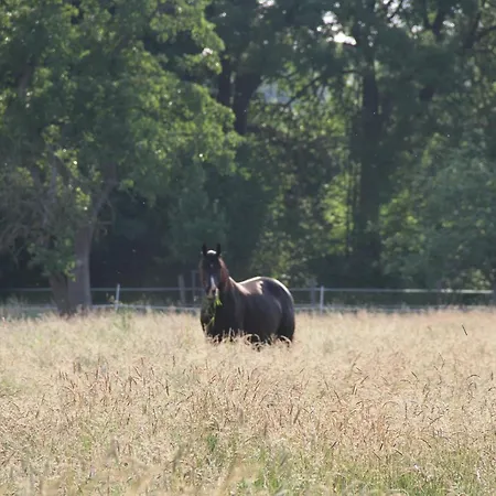 Am Untergut In Der Klingelstrasse アパート リュッホ